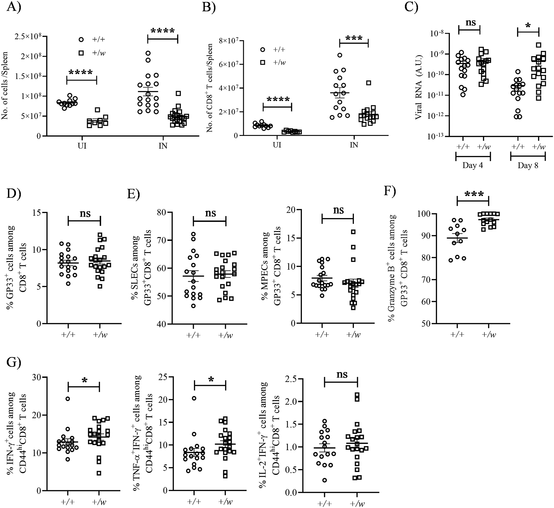 Figure 6: