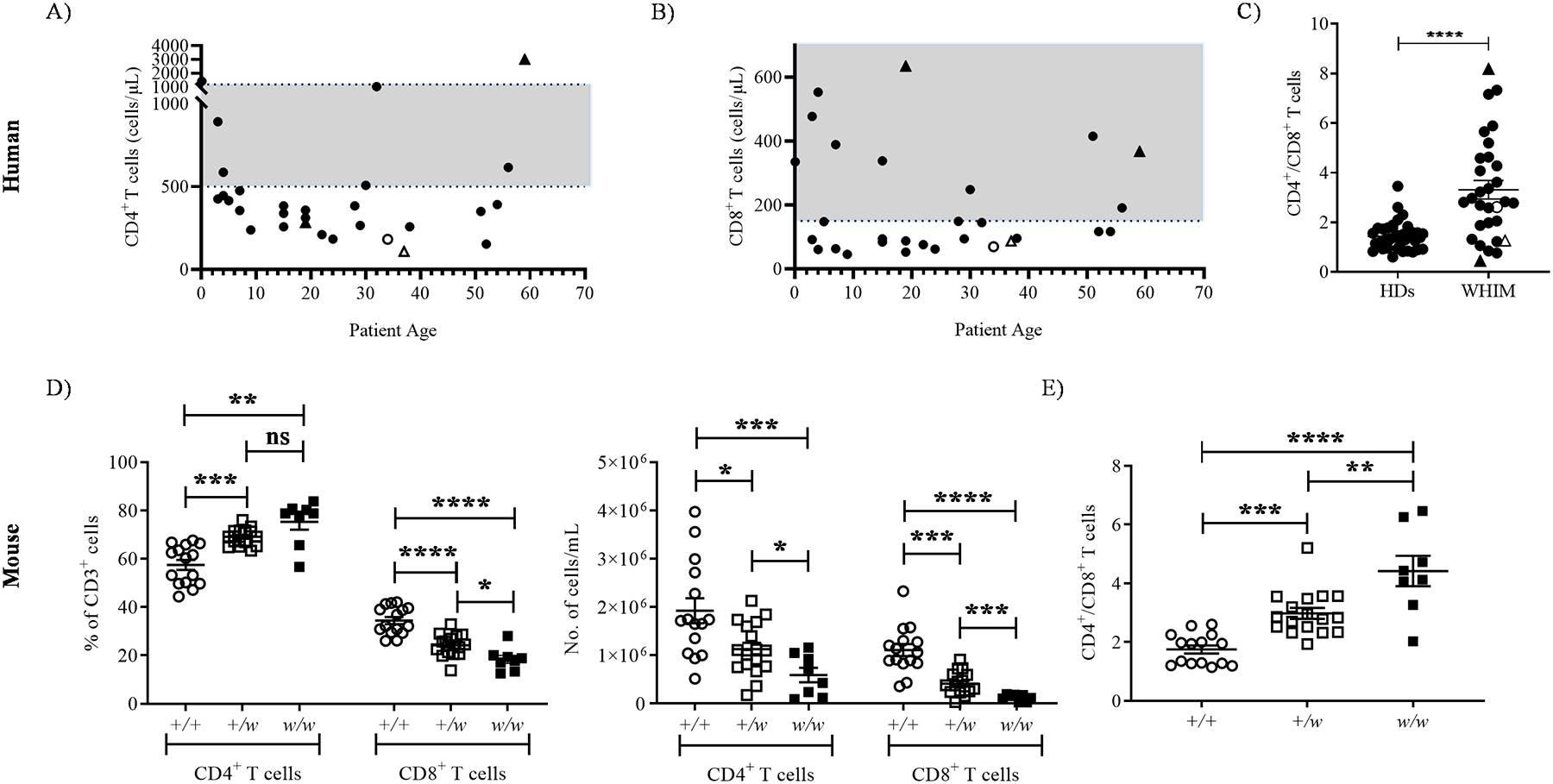 Figure 1: