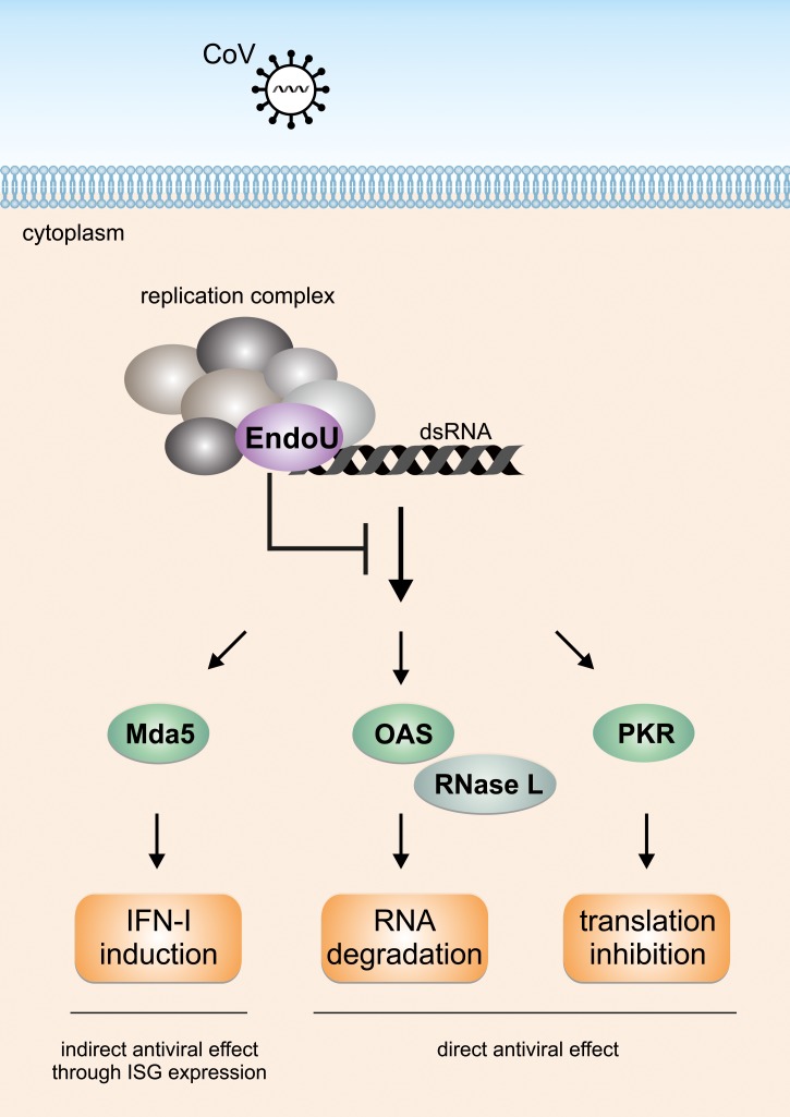 Fig 8