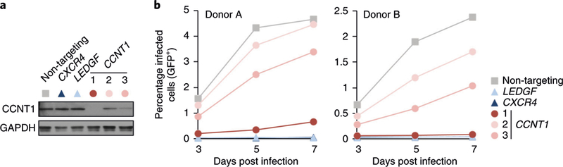 Fig. 4 |