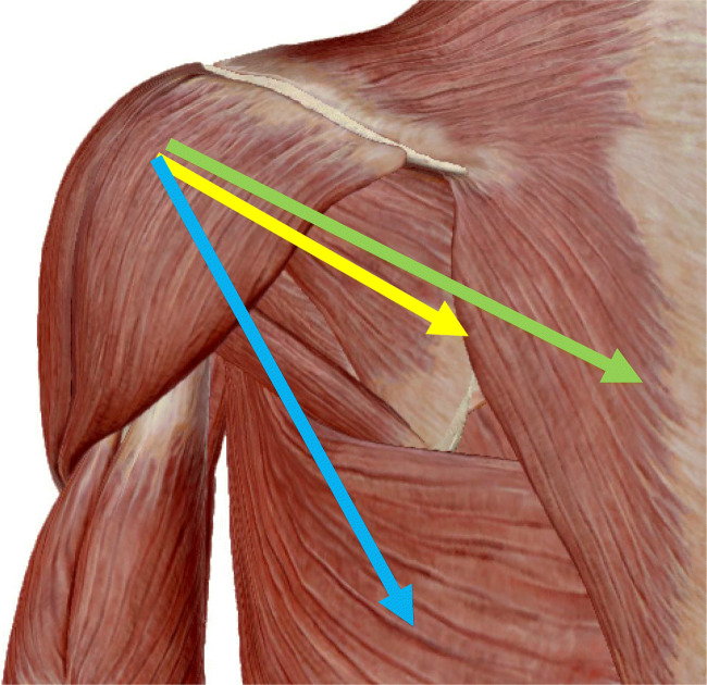 Fig. 3