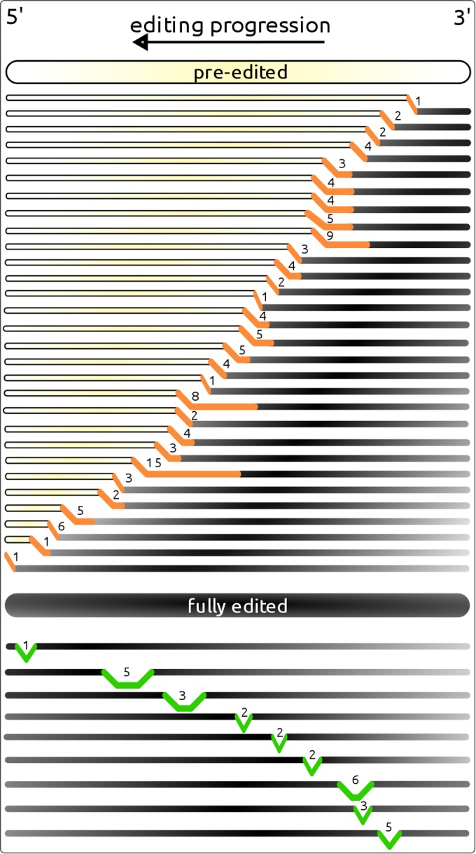 FIG 6 