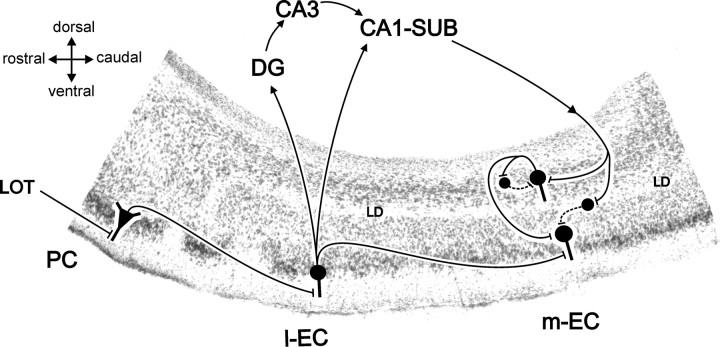 
Figure 9.
