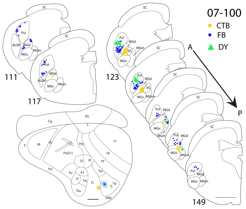 Figure 11