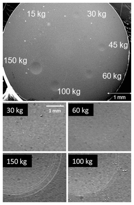 Fig. 10