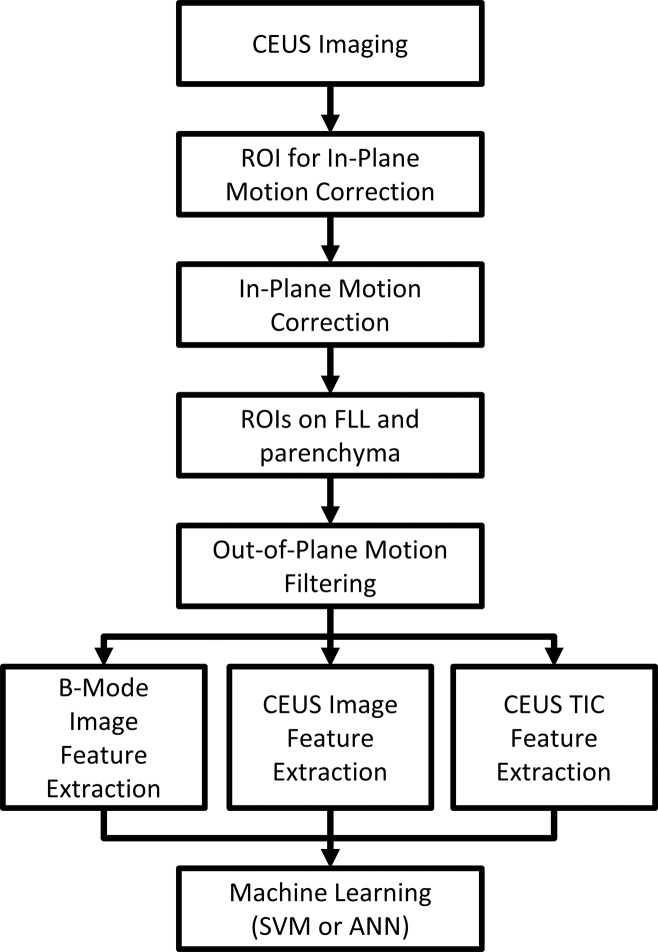 Figure 1: