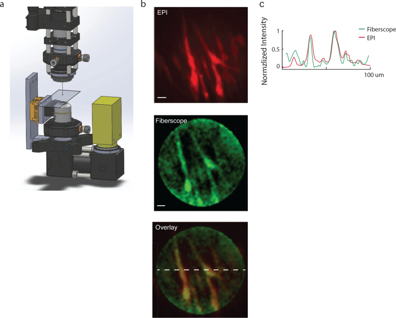 Fig. 10