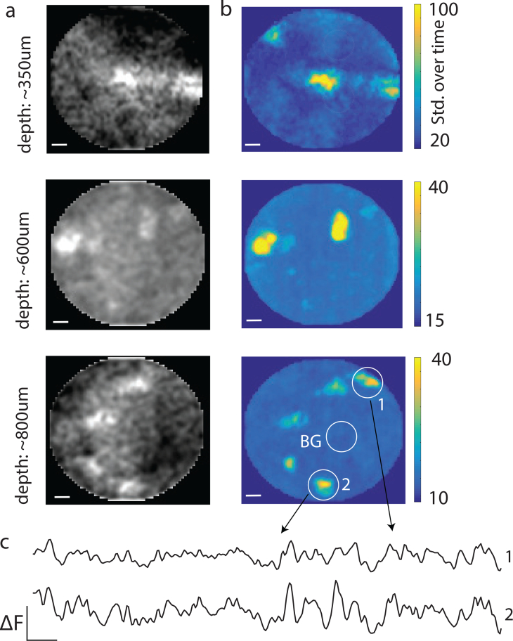 Fig. 12