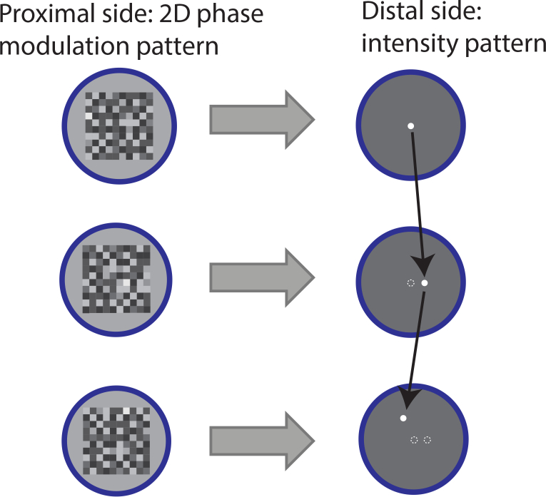 Fig. 2