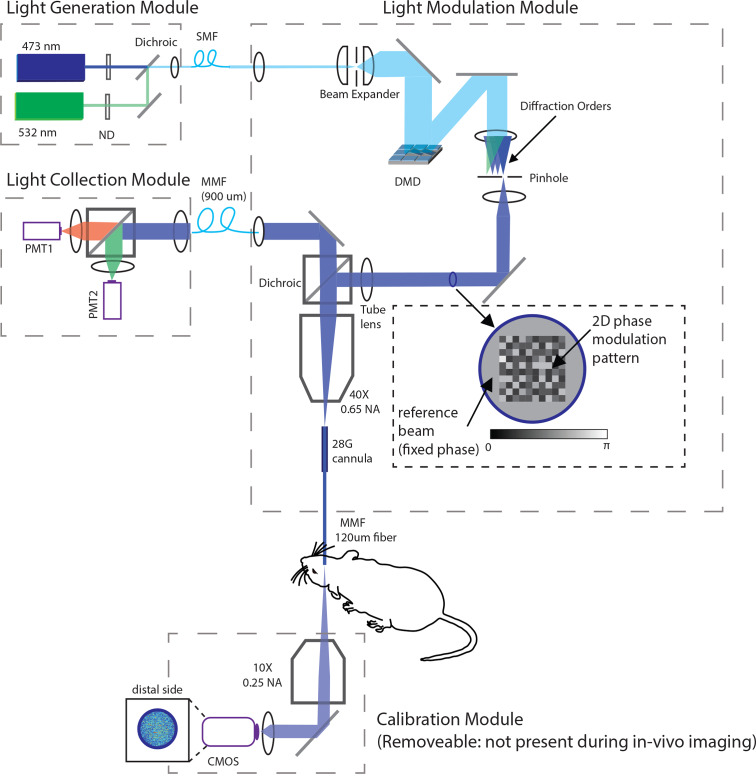 Fig. 3