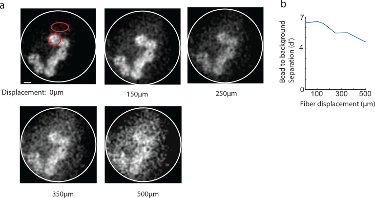 Fig. 13