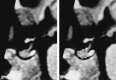 <sc>fig</sc> 1.