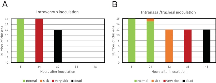 FIG 2