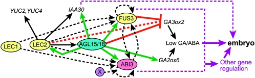 Figure 7.