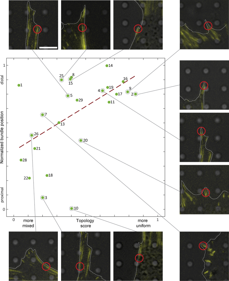 Figure 4