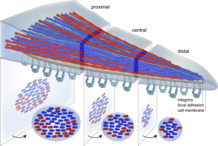 Figure 5