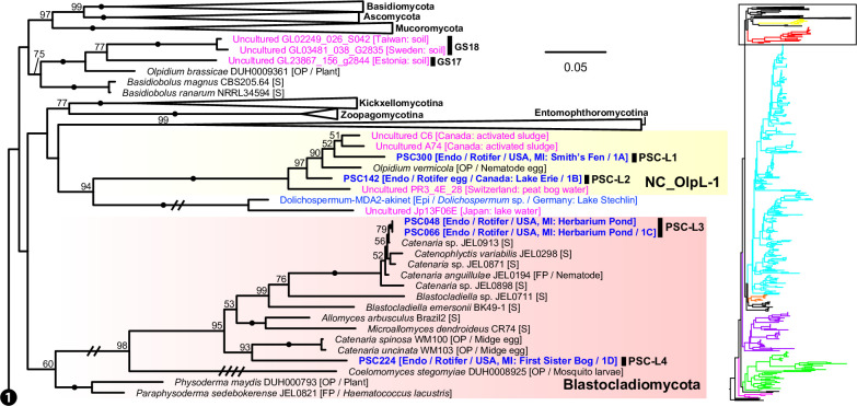 Fig 6