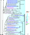 Fig 8