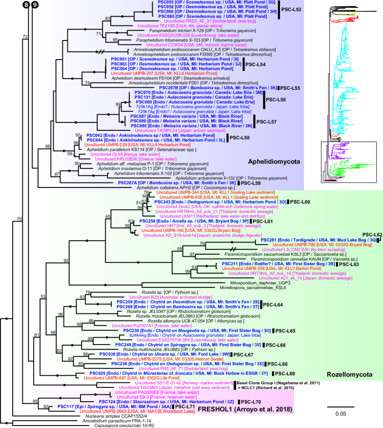 Fig 10