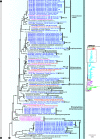 Fig 7