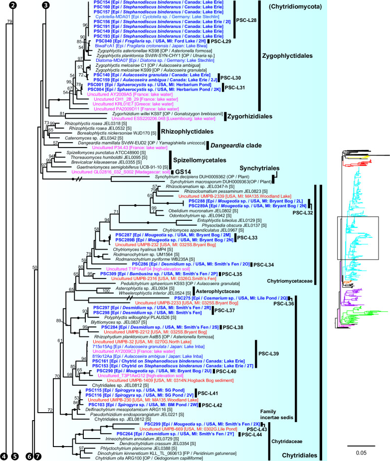 Fig 8