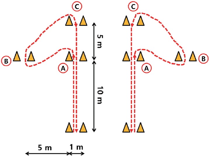 Fig. 1