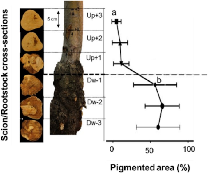 Fig 4