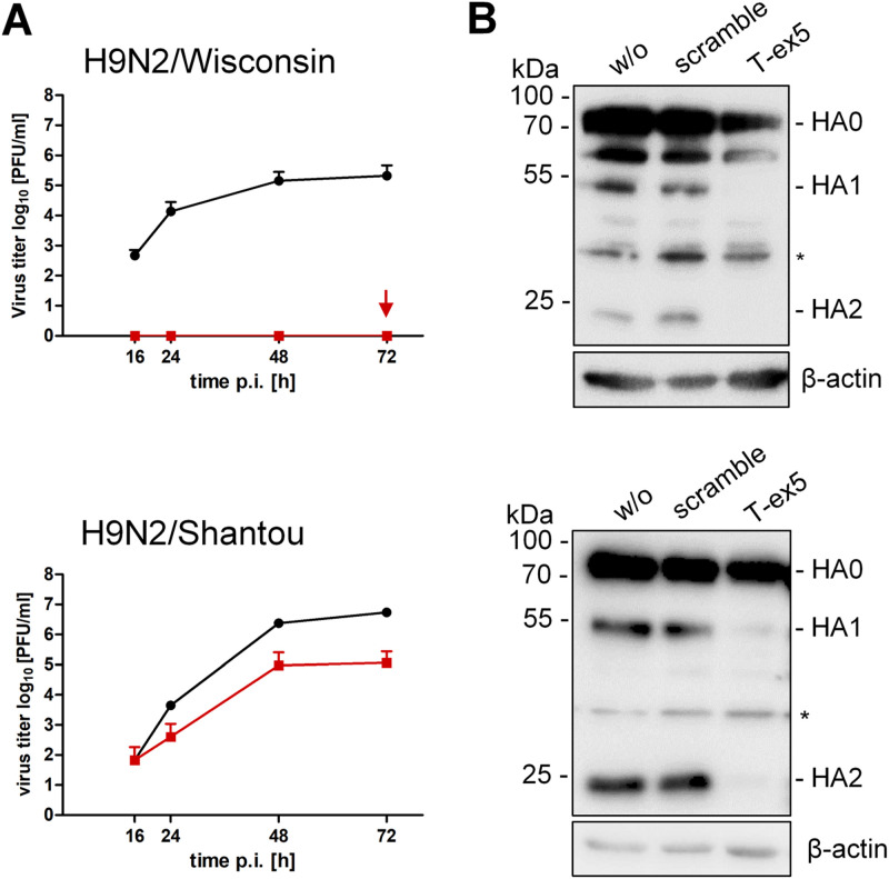 FIG 3