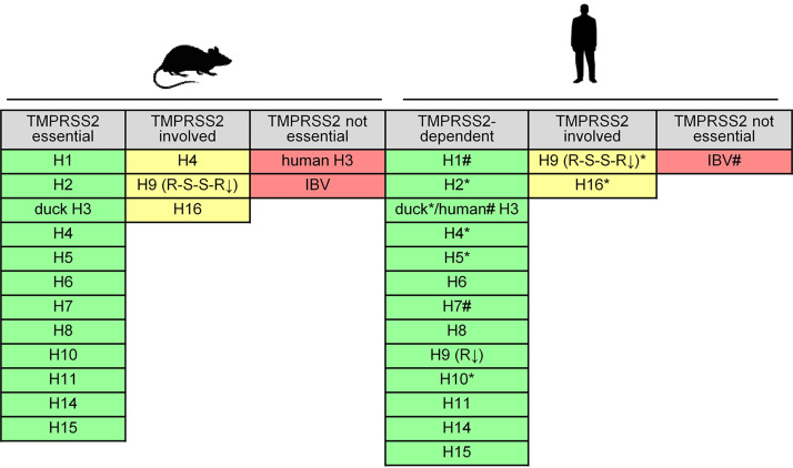 FIG 5