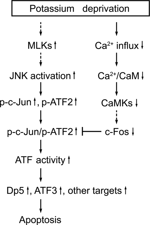 FIG. 8.