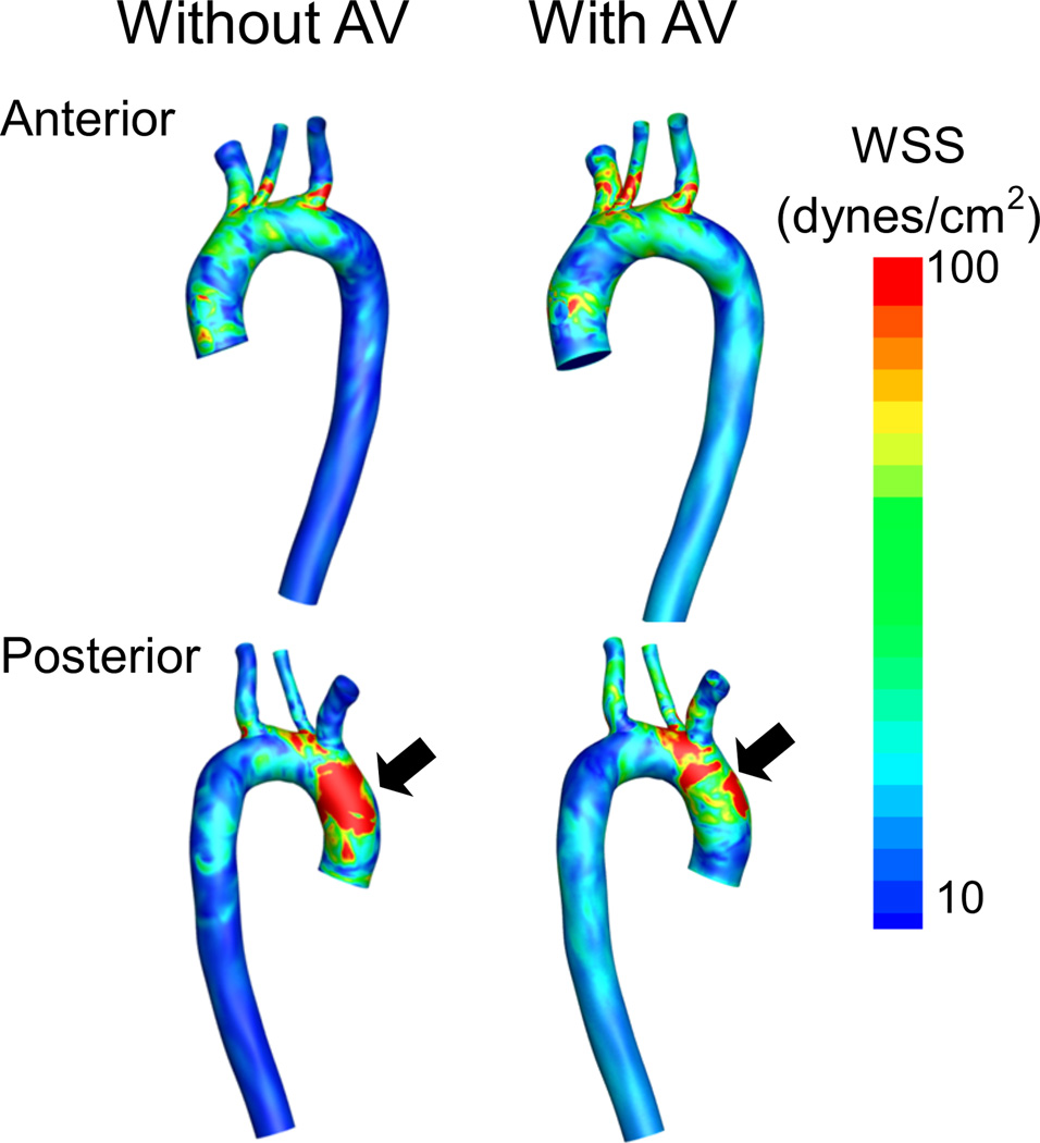 Figure 6