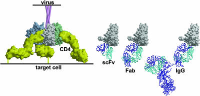 Fig. 3.