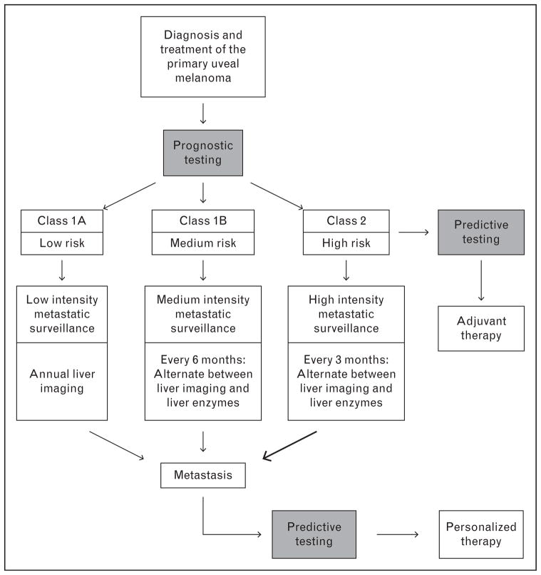 FIGURE 1