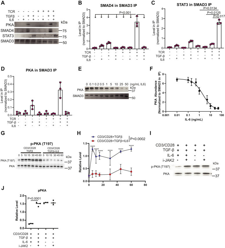 Figure 6