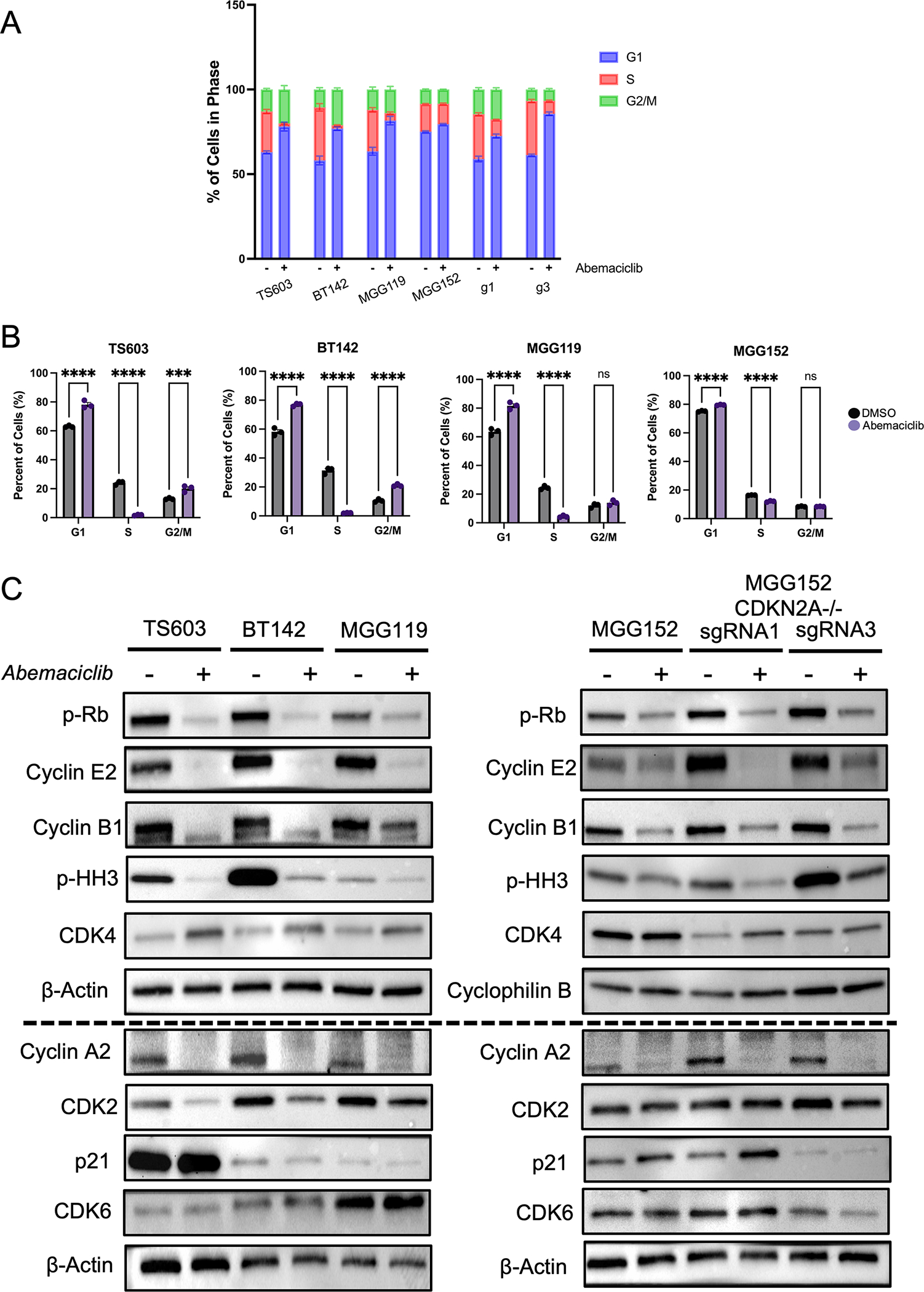 Figure 3: