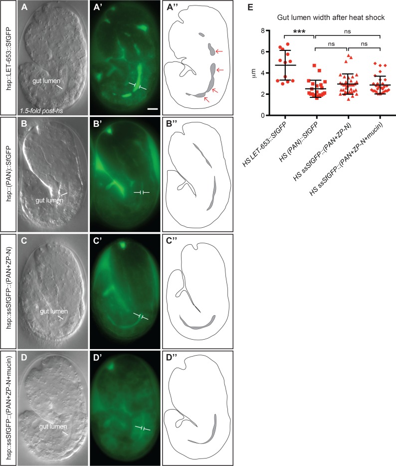 Fig 9