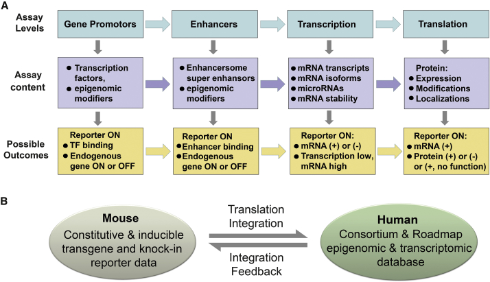 Figure 3