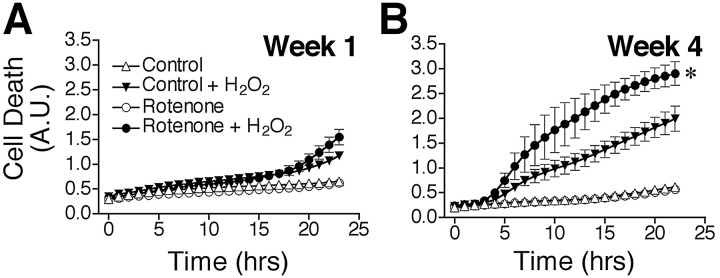 Fig. 5.