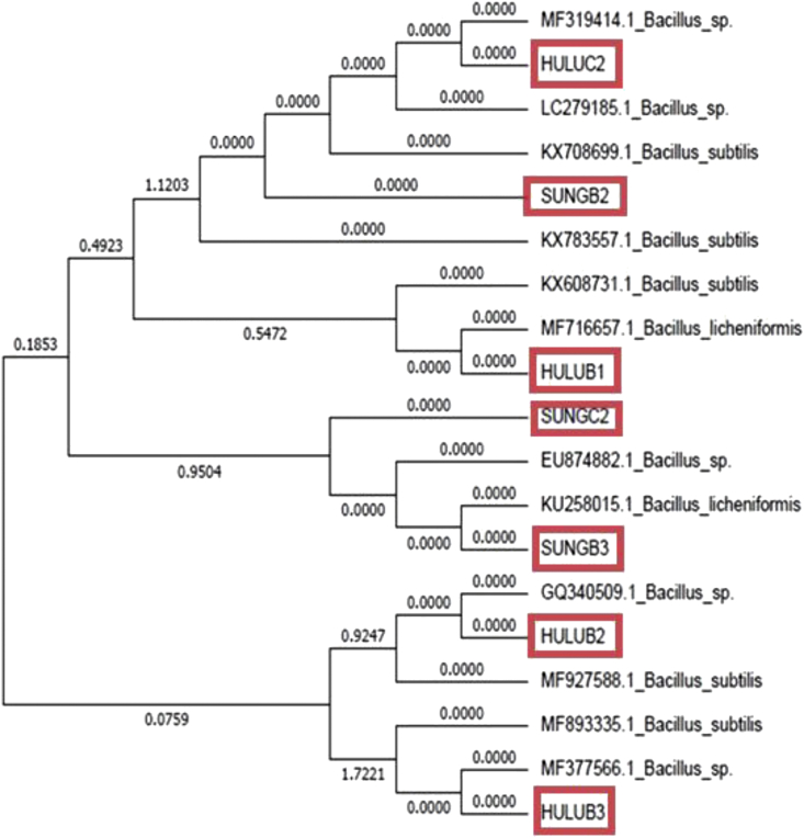 Figure 1