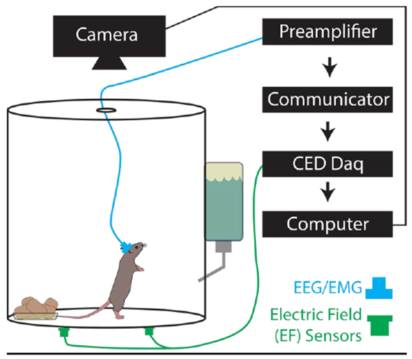 Figure 1.