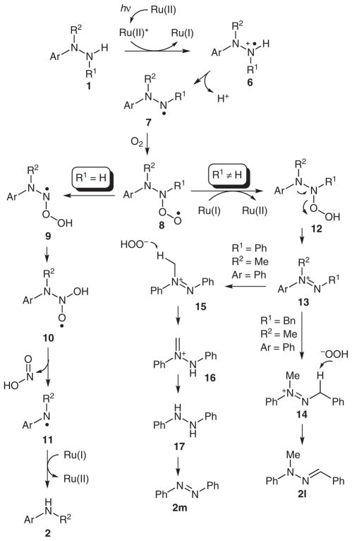 Scheme 3