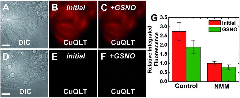 Fig. 11