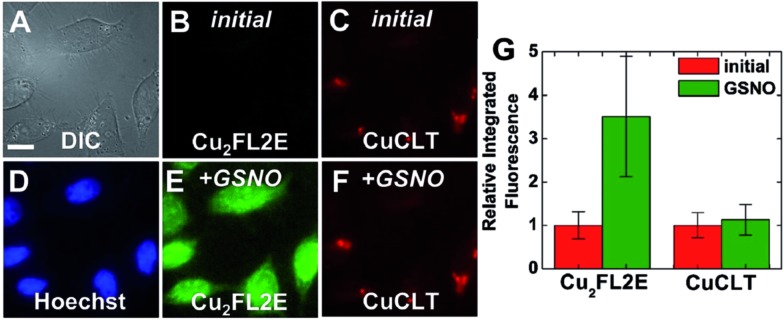 Fig. 9