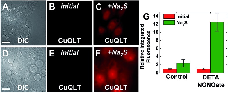 Fig. 12