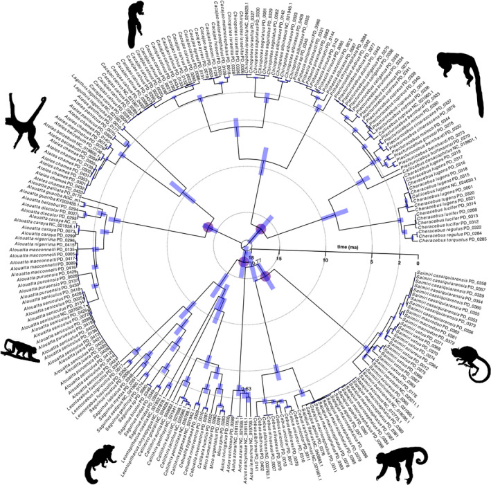 FIGURE 3