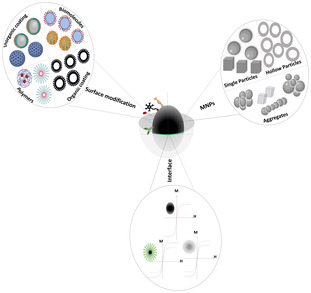graphic file with name MBT2-17-e14481-g006.jpg