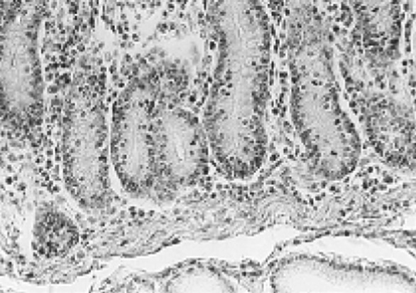 Fig. 9