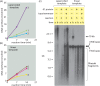 FIGURE 4: