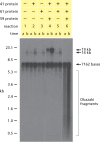 FIGURE 3: