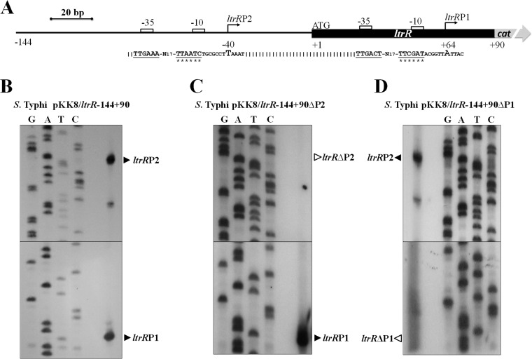 FIG 1